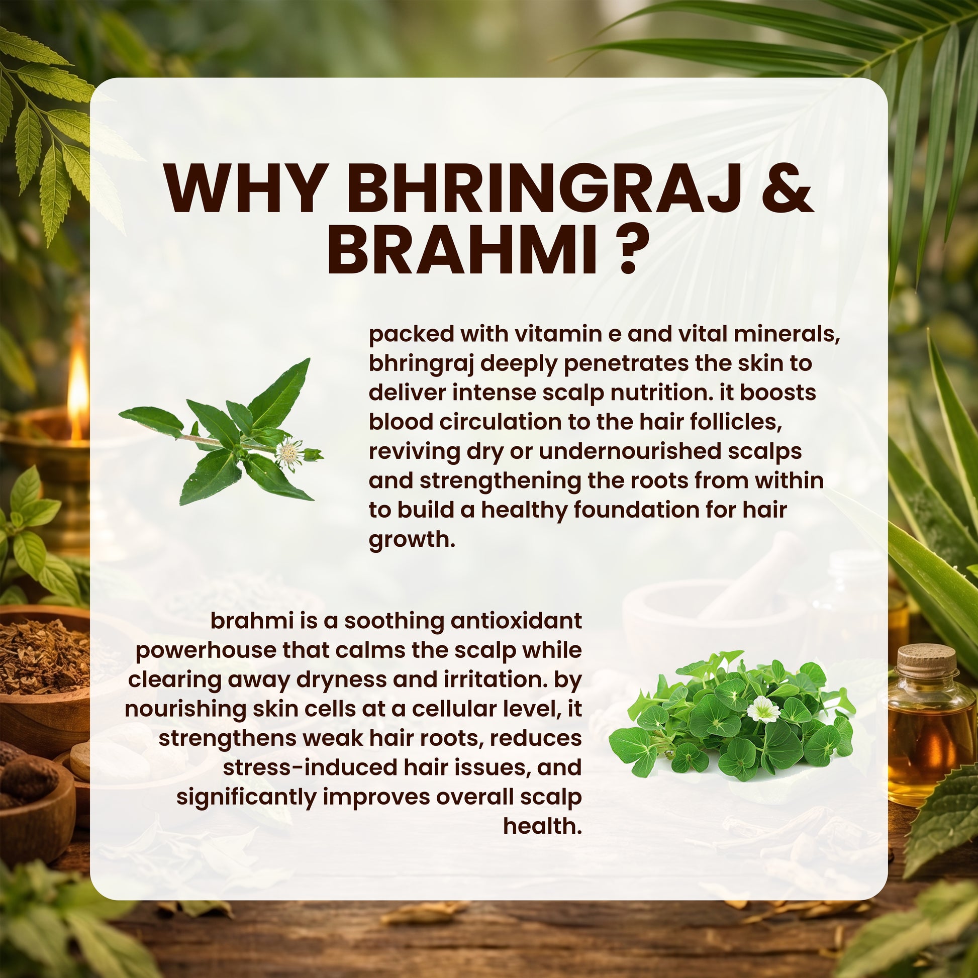 Bhringraj and Brahmi key ingredient's benefits 