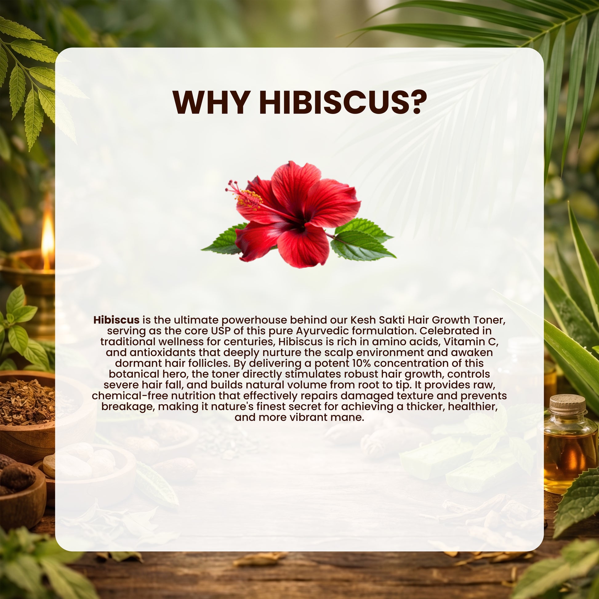why hibiscus so important for a our lep Kesh Sakti toner